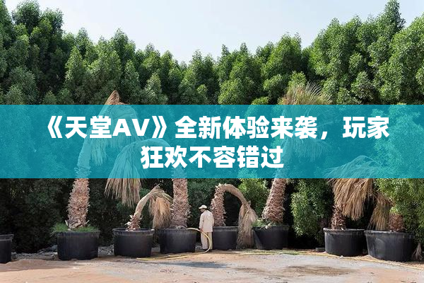 《天堂A∨》全新体验来袭，玩家狂欢不容错过