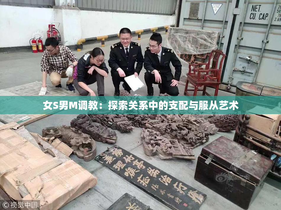 女S男M调教：探索关系中的支配与服从艺术