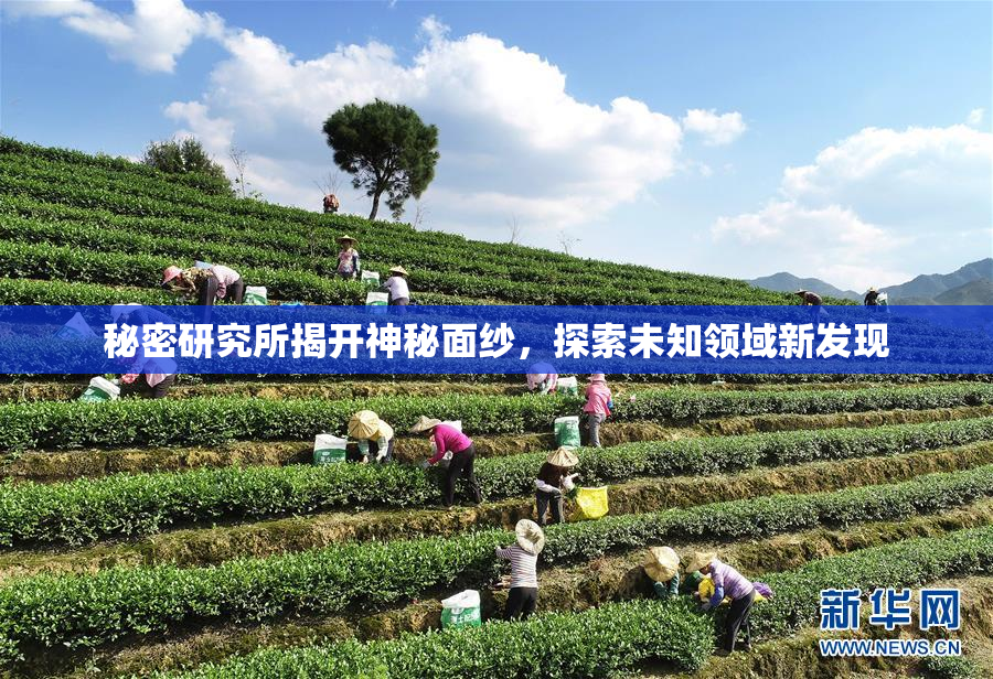 秘密研究所揭开神秘面纱，探索未知领域新发现