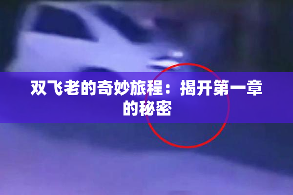 双飞老的奇妙旅程：揭开第一章的秘密