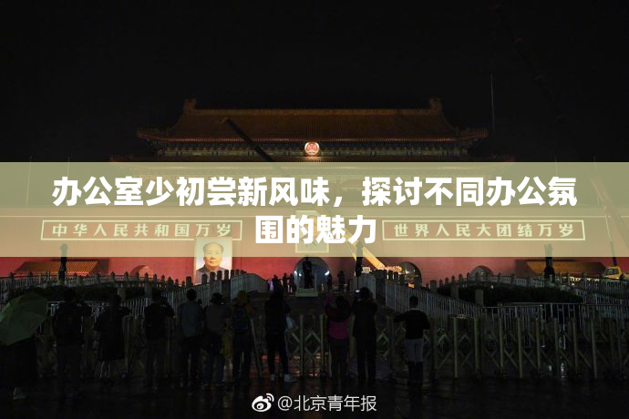 办公室少初尝新风味，探讨不同办公氛围的魅力