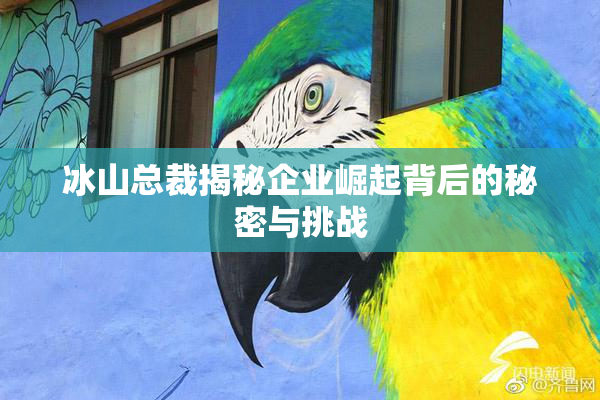 冰山总裁揭秘企业崛起背后的秘密与挑战