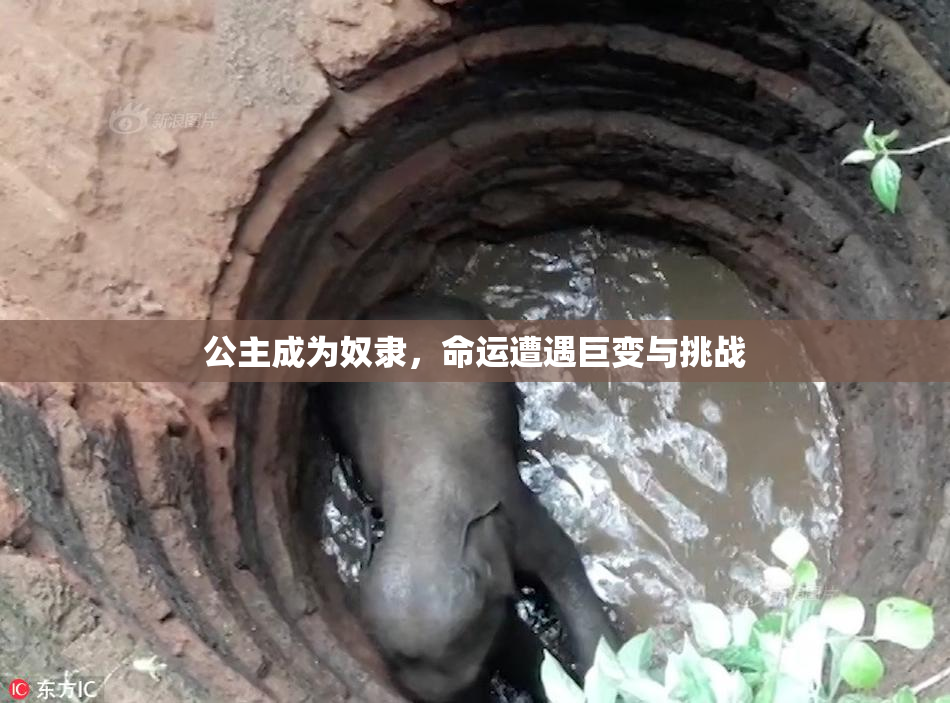 公主成为奴隶，命运遭遇巨变与挑战