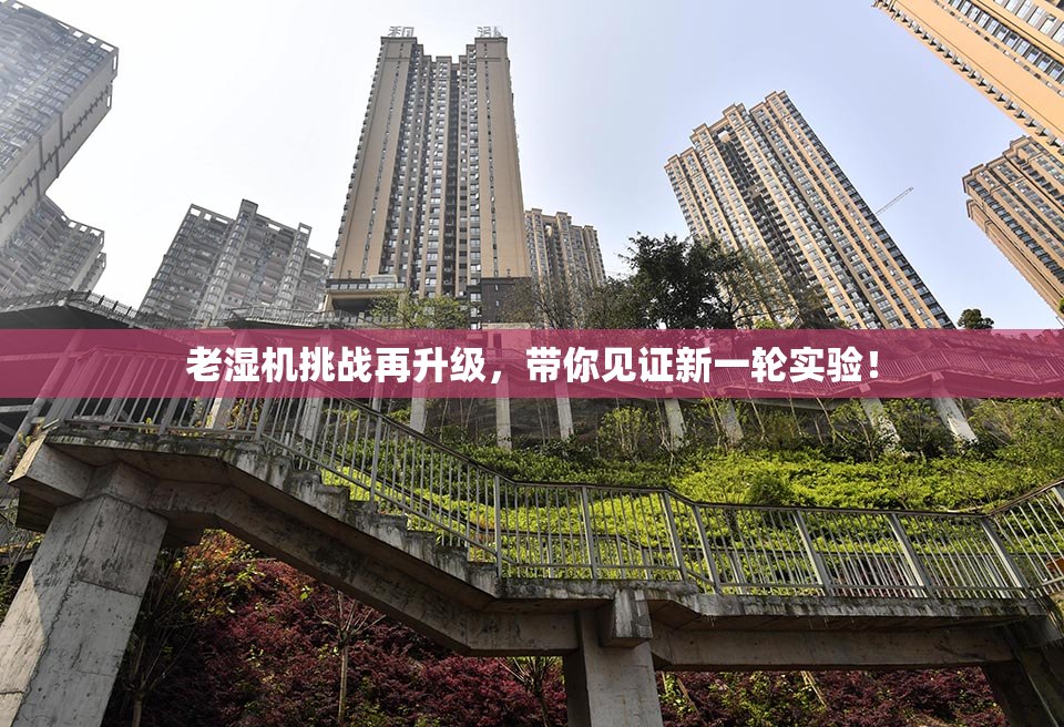 老湿机挑战再升级，带你见证新一轮实验！