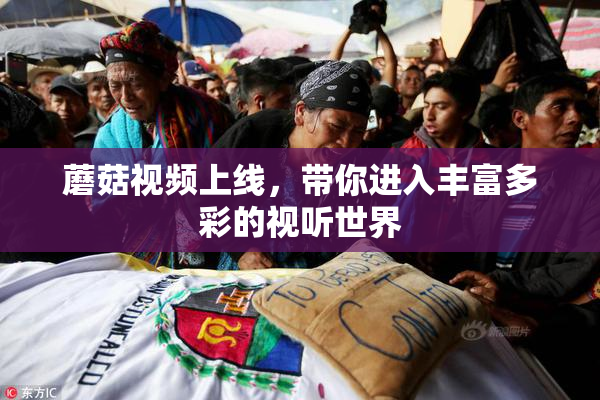 蘑菇视频上线，带你进入丰富多彩的视听世界