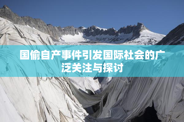 国偷自产事件引发国际社会的广泛关注与探讨