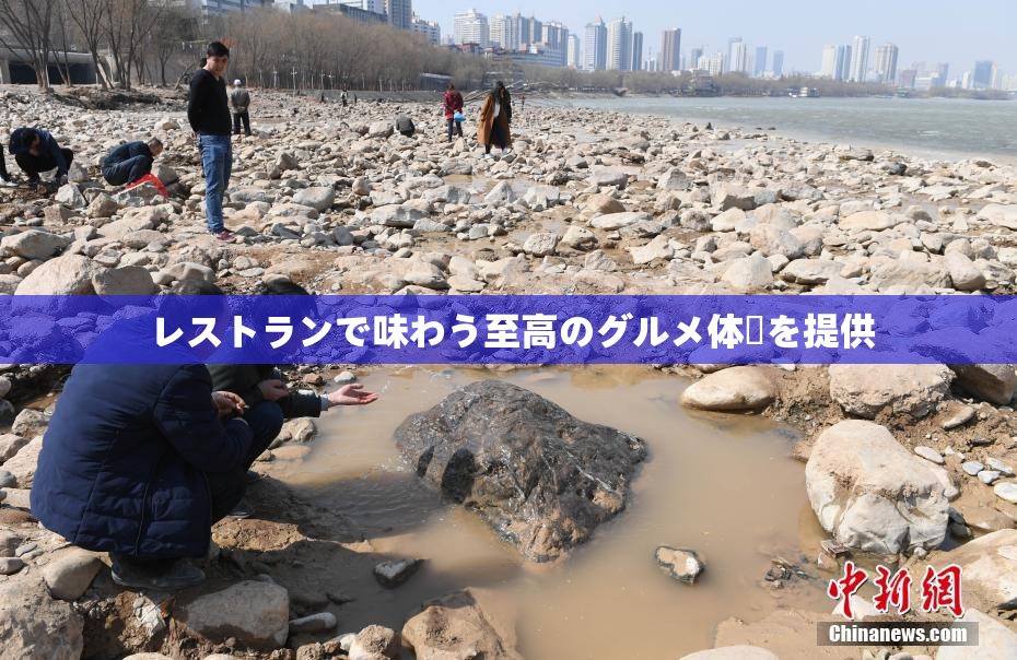 レストランで味わう至高のグルメ体験を提供