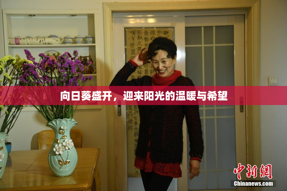 向日葵盛开，迎来阳光的温暖与希望