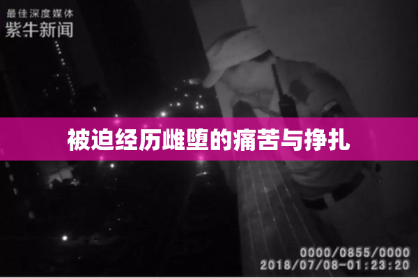 被迫经历雌堕的痛苦与挣扎