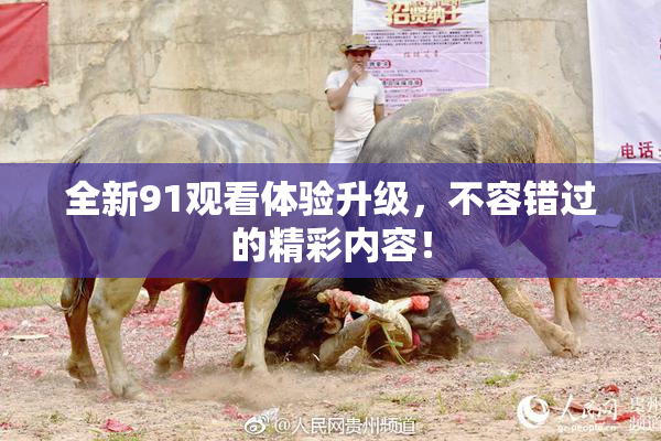 全新91观看体验升级，不容错过的精彩内容！