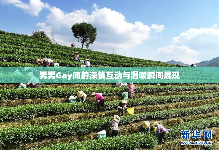男男Gay间的深情互动与温暖瞬间展现