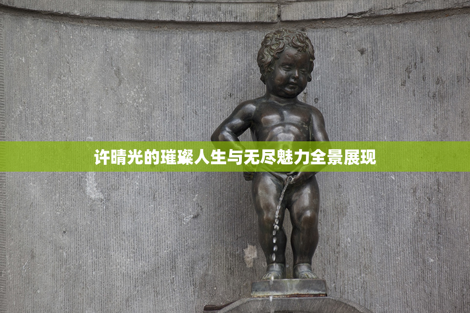 许晴光的璀璨人生与无尽魅力全景展现