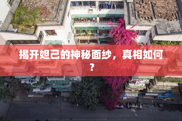 揭开妲己的神秘面纱，真相如何？