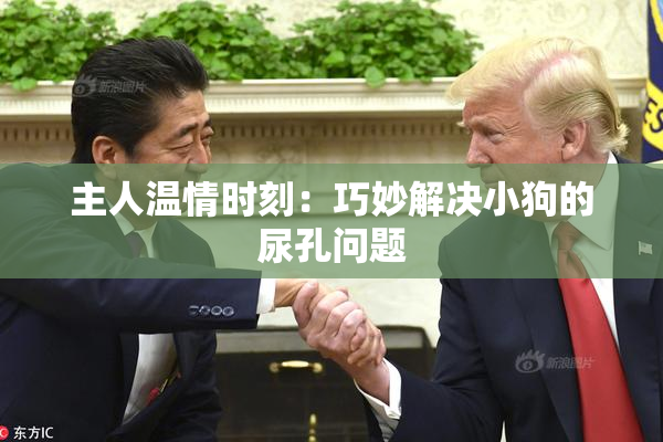 主人温情时刻：巧妙解决小狗的尿孔问题