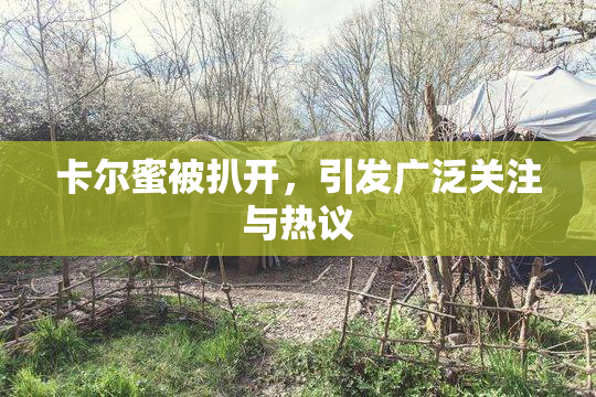 卡尔蜜被扒开，引发广泛关注与热议