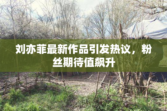 刘亦菲最新作品引发热议，粉丝期待值飙升