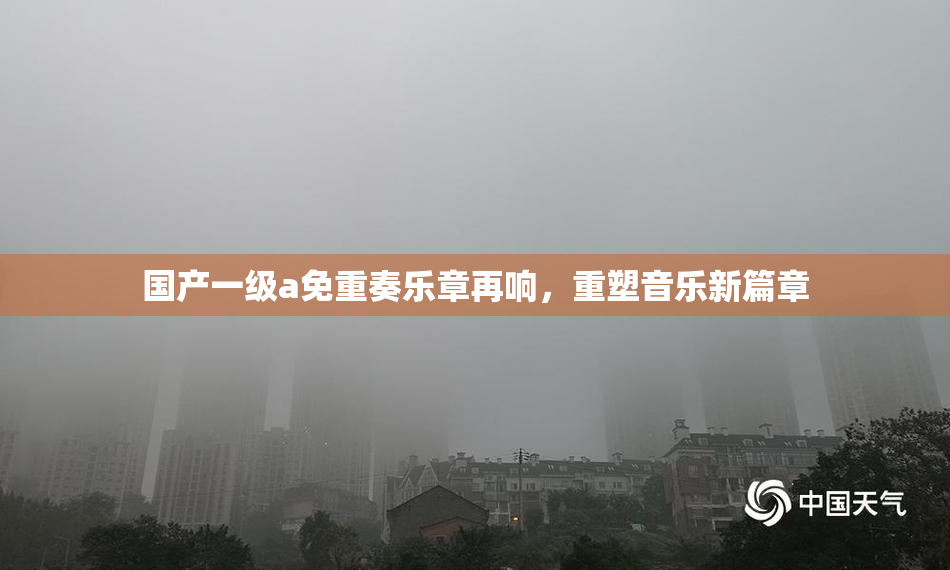 国产一级a免重奏乐章再响，重塑音乐新篇章