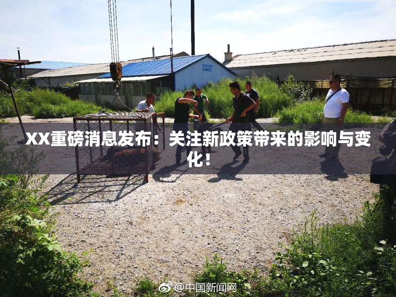 XX重磅消息发布：关注新政策带来的影响与变化！