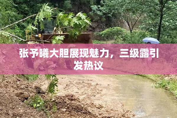 张予曦大胆展现魅力，三级露引发热议