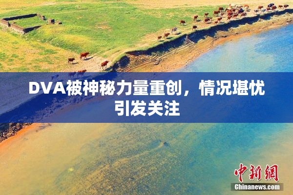 DVA被神秘力量重创，情况堪忧引发关注