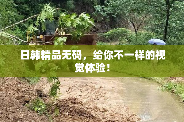 日韩精品无码，给你不一样的视觉体验！