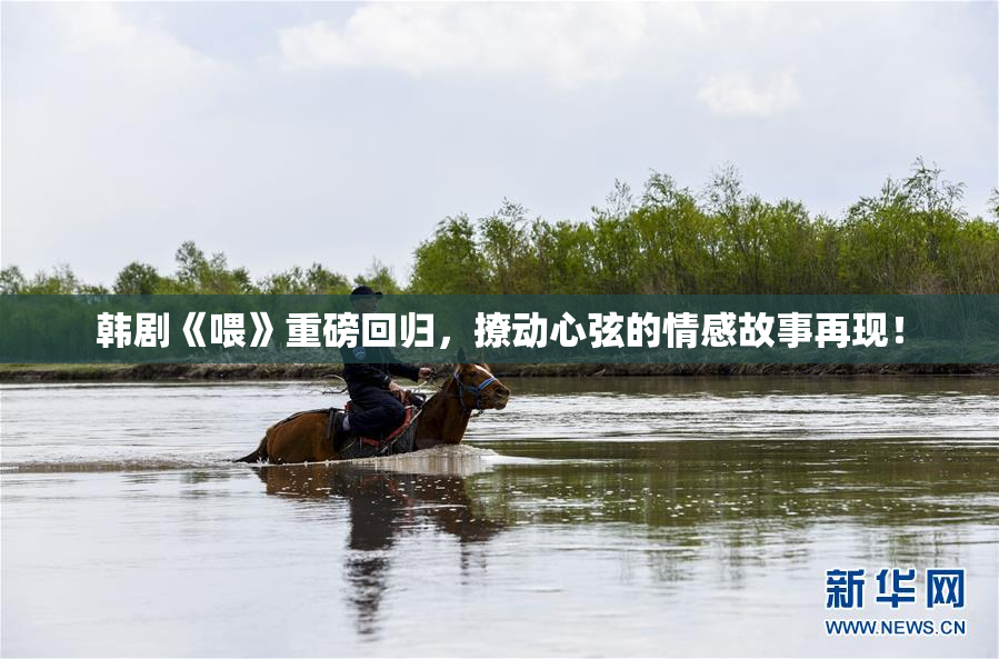 韩剧《喂》重磅回归，撩动心弦的情感故事再现！