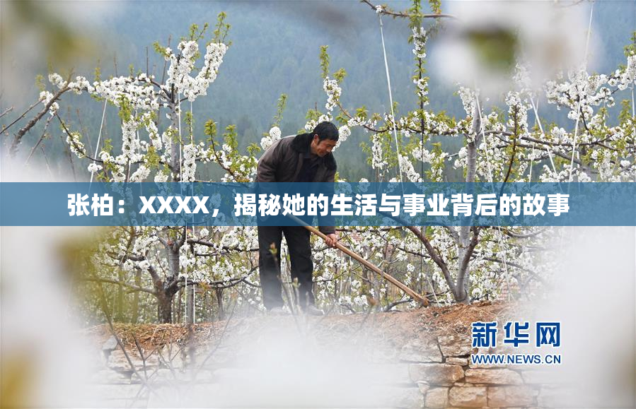 张柏：XXXX，揭秘她的生活与事业背后的故事