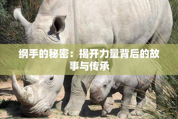 纲手的秘密：揭开力量背后的故事与传承