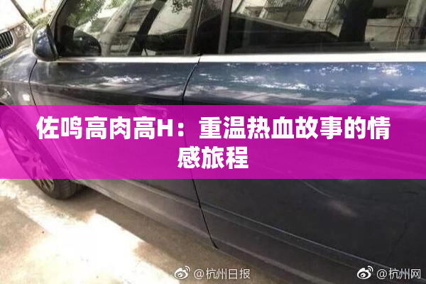 佐鸣高肉高H：重温热血故事的情感旅程
