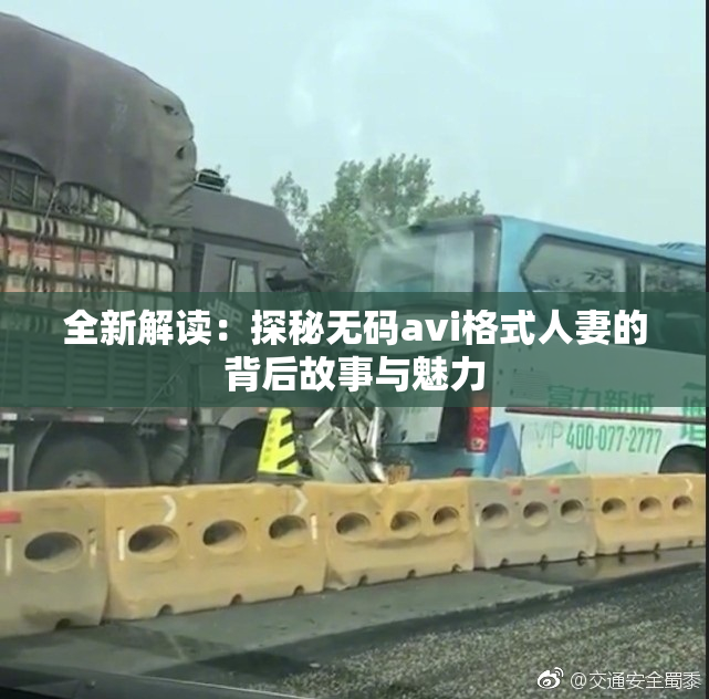 全新解读：探秘无码avi格式人妻的背后故事与魅力