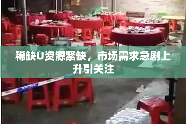 稀缺U资源紧缺，市场需求急剧上升引关注