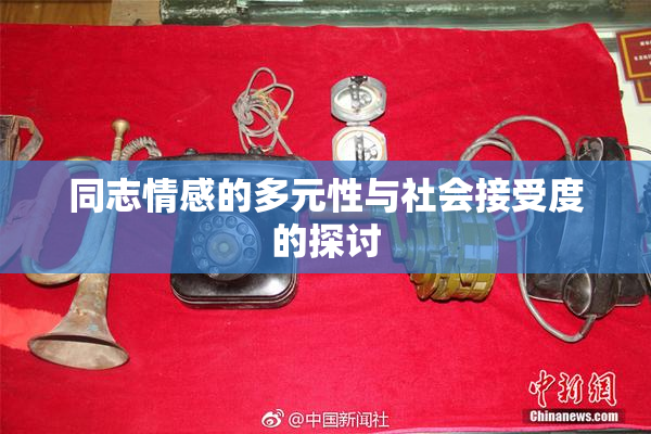 同志情感的多元性与社会接受度的探讨