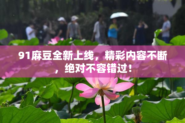 91麻豆全新上线，精彩内容不断，绝对不容错过！