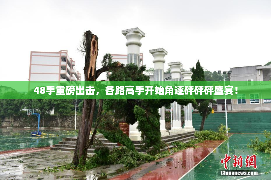 48手重磅出击，各路高手开始角逐砰砰砰盛宴！