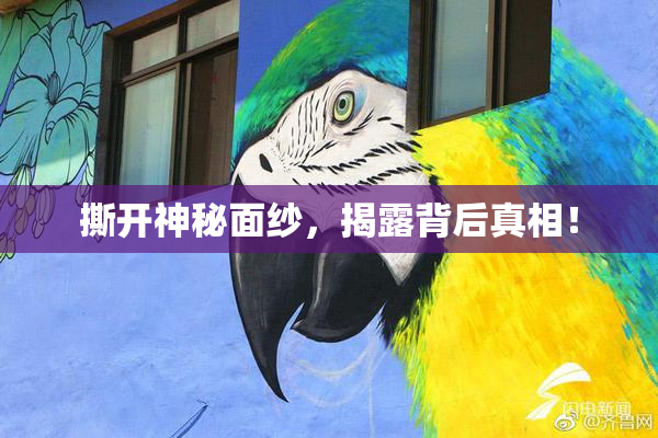 撕开神秘面纱，揭露背后真相！