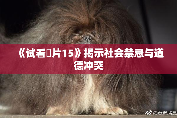 《试看婬片15》揭示社会禁忌与道德冲突