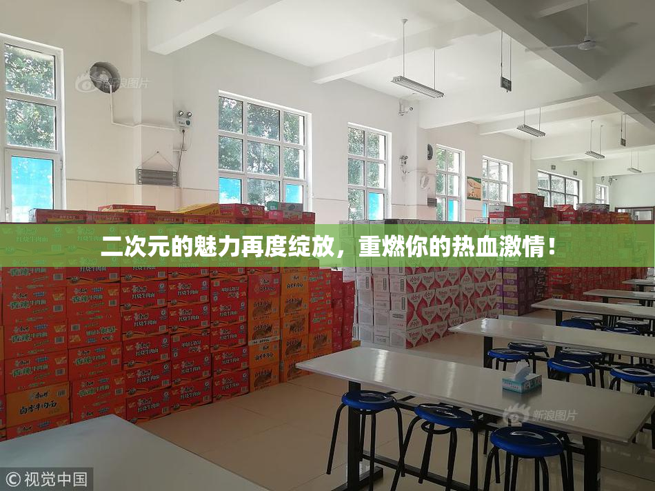 二次元的魅力再度绽放，重燃你的热血激情！