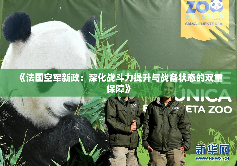 《法国空军新政：深化战斗力提升与战备状态的双重保障》