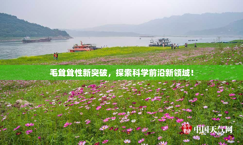 毛耸耸性新突破，探索科学前沿新领域！