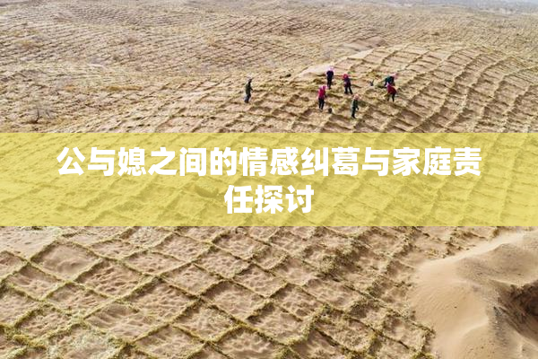 公与媳之间的情感纠葛与家庭责任探讨