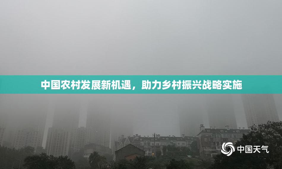 中国农村发展新机遇，助力乡村振兴战略实施