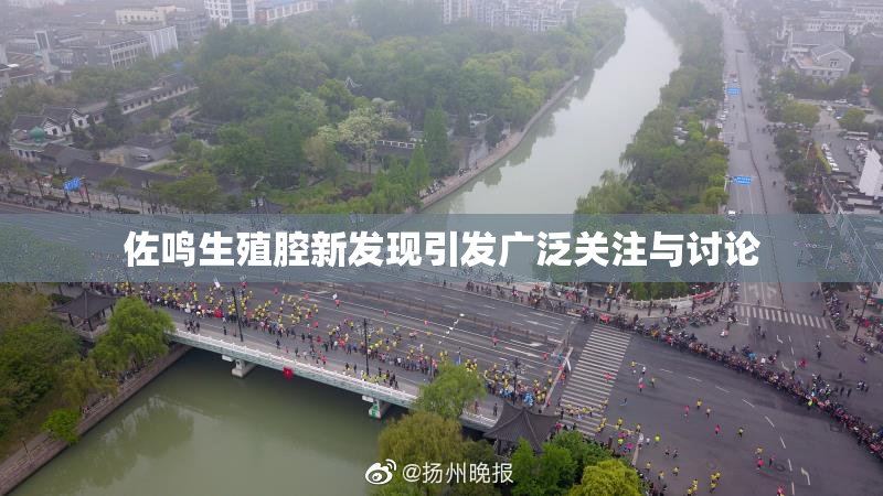 佐鸣生殖腔新发现引发广泛关注与讨论