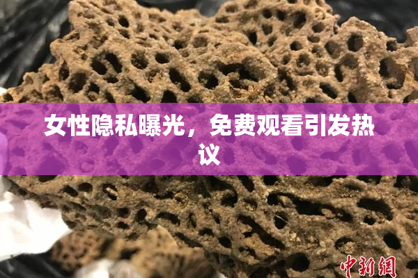 女性隐私曝光，免费观看引发热议