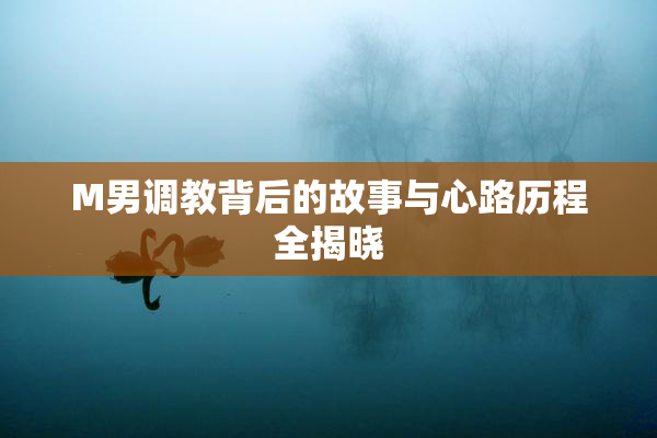 M男调教背后的故事与心路历程全揭晓