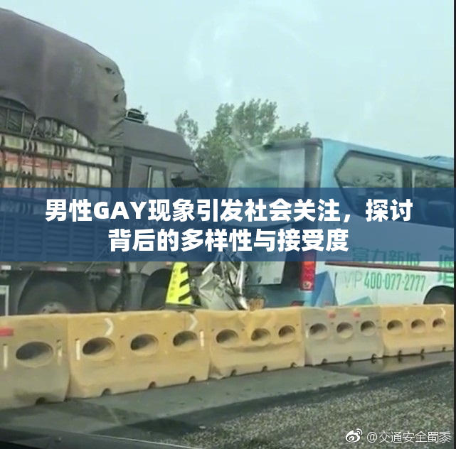 男性GAY现象引发社会关注，探讨背后的多样性与接受度