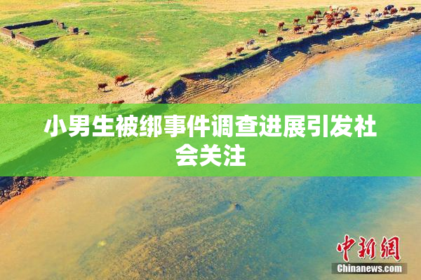 小男生被绑事件调查进展引发社会关注