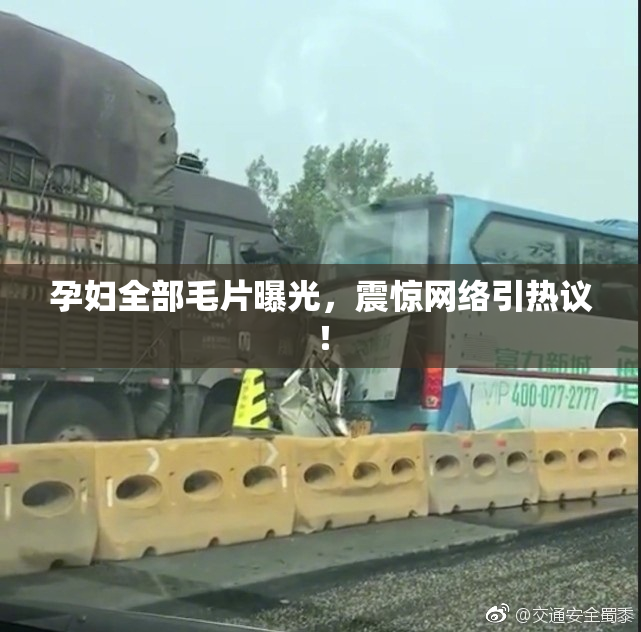孕妇全部毛片曝光，震惊网络引热议！