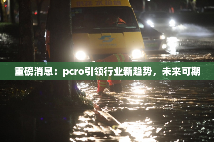 重磅消息：pcro引领行业新趋势，未来可期