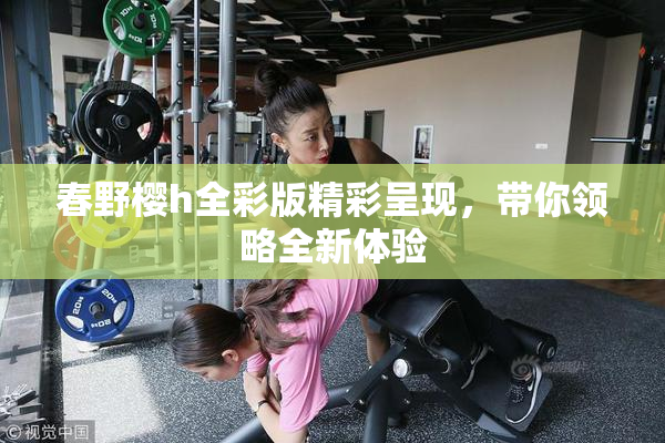 春野樱h全彩版精彩呈现，带你领略全新体验