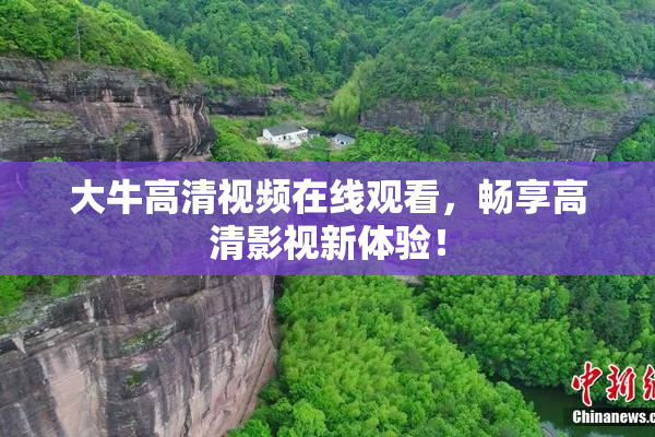 大牛高清视频在线观看，畅享高清影视新体验！